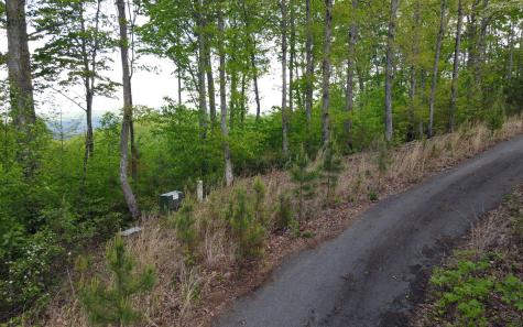Lot 88 Thirteen Hundred Blairsville GA 30512