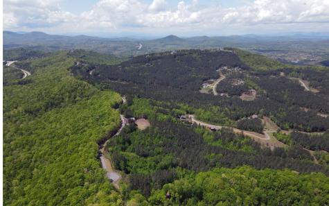 Lot 88 Thirteen Hundred Blairsville GA 30512