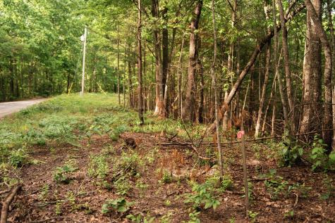 Tract 1 Century Lane Blue Ridge GA 30513