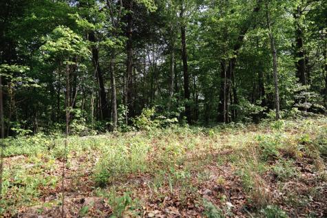 Tract 1 Century Lane Blue Ridge GA 30513