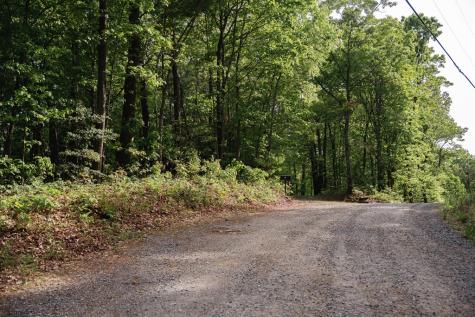 Tract 1 Century Lane Blue Ridge GA 30513