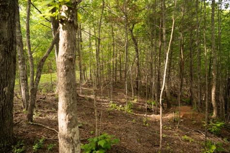 Tract 1 Century Lane Blue Ridge GA 30513