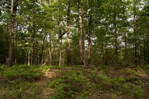 Tract 1 Century Lane Blue Ridge GA 30513