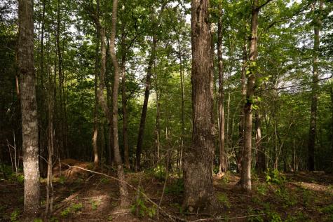 Tract 1 Century Lane Blue Ridge GA 30513