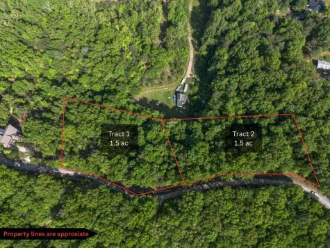 Tract 1 Century Lane Blue Ridge GA 30513