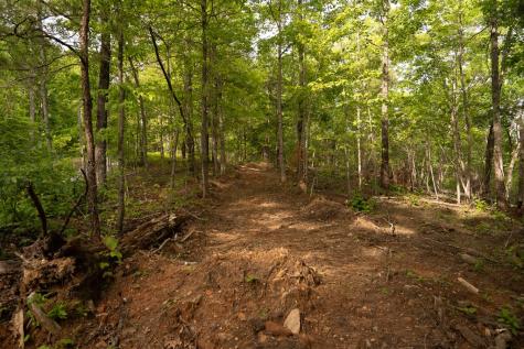 Tract 1 Century Lane Blue Ridge GA 30513