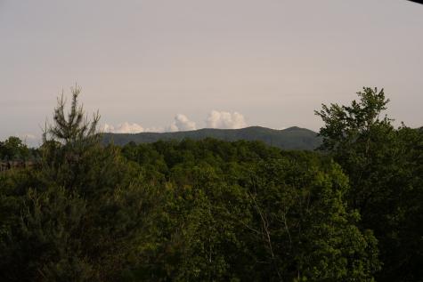 Tract 1 Century Lane Blue Ridge GA 30513