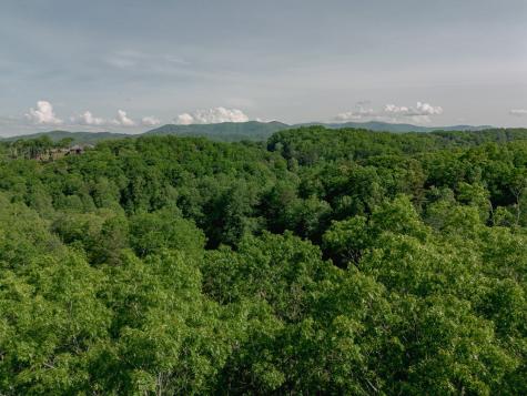 Tract 1 Century Lane Blue Ridge GA 30513