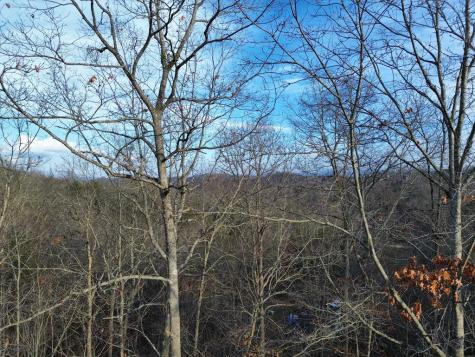 Tract 1 Century Lane Blue Ridge GA 30513