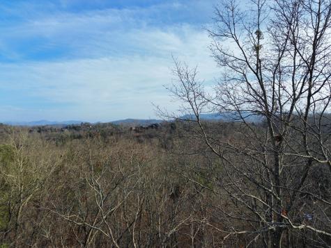 Tract 1 Century Lane Blue Ridge GA 30513