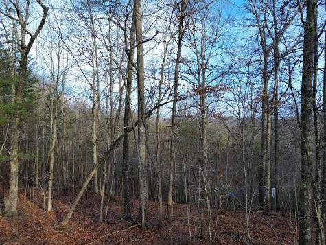 Tract 1 Century Lane Blue Ridge GA 30513