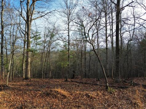 Tract 1 Century Lane Blue Ridge GA 30513