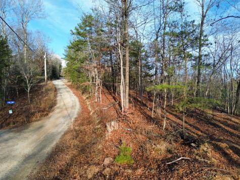 Tract 1 Century Lane Blue Ridge GA 30513