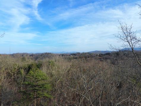 Tract 1 Century Lane Blue Ridge GA 30513