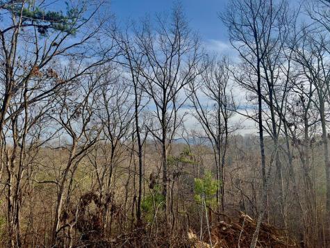 Tract 1 Century Lane Blue Ridge GA 30513