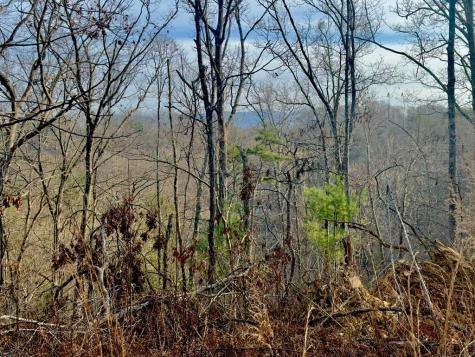 Tract 1 Century Lane Blue Ridge GA 30513