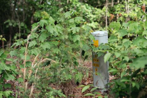 Tract 1 Century Lane Blue Ridge GA 30513