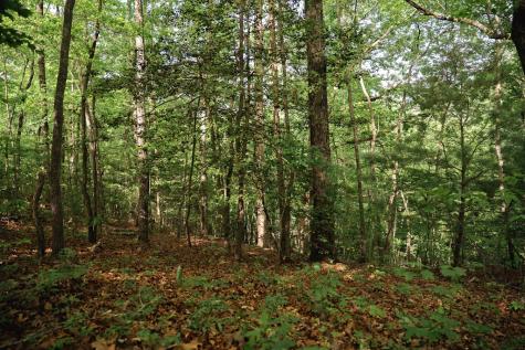 Tract 1 Century Lane Blue Ridge GA 30513