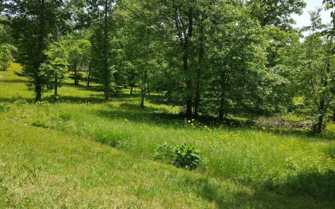 Lt 43 Broad Water Court Blairsville GA 30512