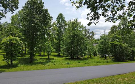 Lt 43 Broad Water Court Blairsville GA 30512