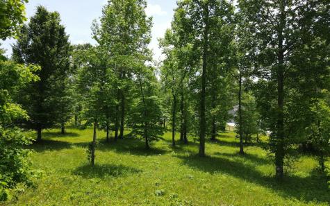 Lt 43 Broad Water Court Blairsville GA 30512