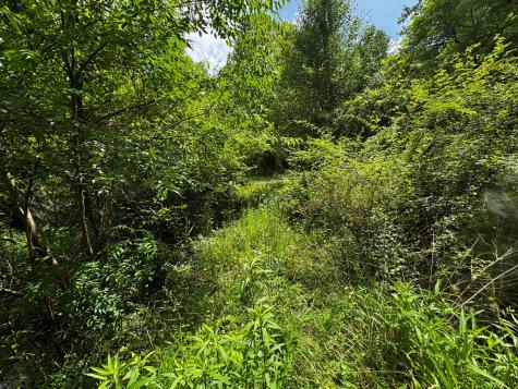 11061 Highway 294 Murphy NC 28906