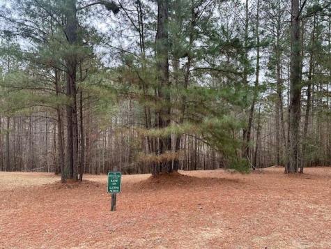 Lot 48 The Sanctuary Blairsville GA 30512