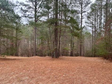 Lot 48 The Sanctuary Blairsville GA 30512
