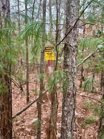 Lot 48 The Sanctuary Blairsville GA 30512