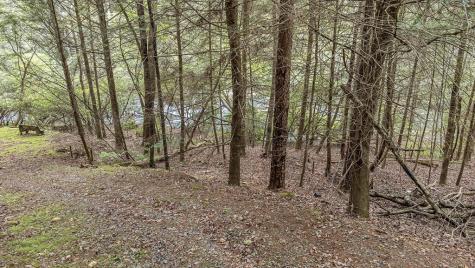 Lot 48 Indian Cave Road Ellijay GA 30536