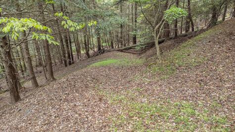 Lot 48 Indian Cave Road Ellijay GA 30536