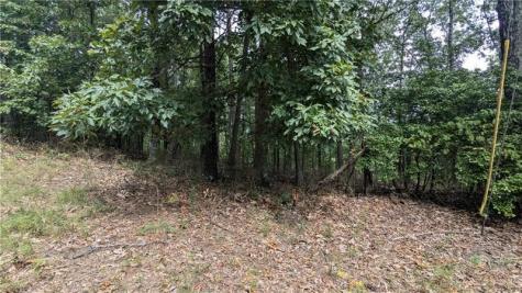 278 Adair Drive Talking Rock GA 30734