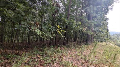 278 Adair Drive Talking Rock GA 30734