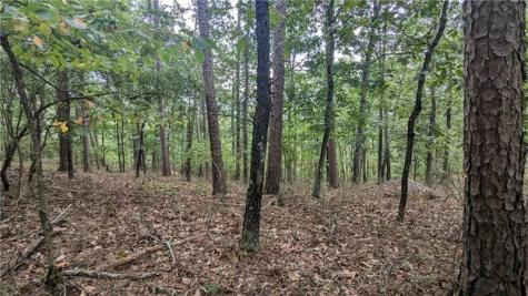 278 Adair Drive Talking Rock GA 30734