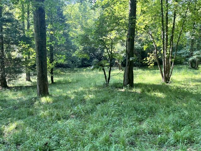 Lot 9 S Dogwood Hayesville NC 28904