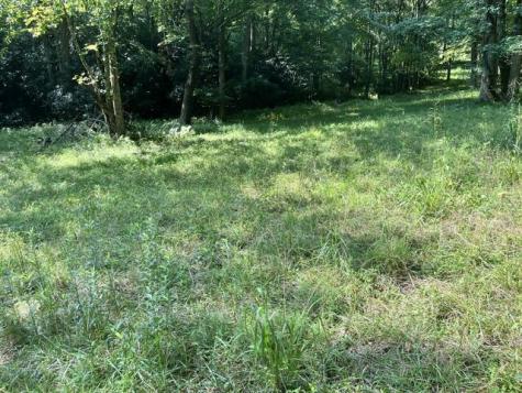 Lot 9 S Dogwood Hayesville NC 28904