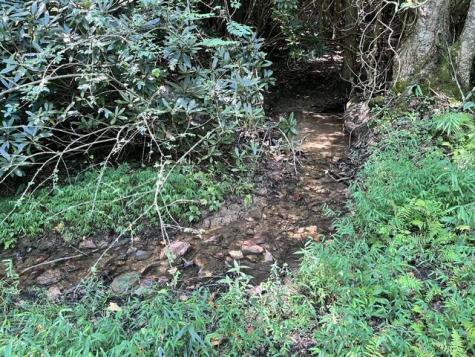Lot 9 S Dogwood Hayesville NC 28904