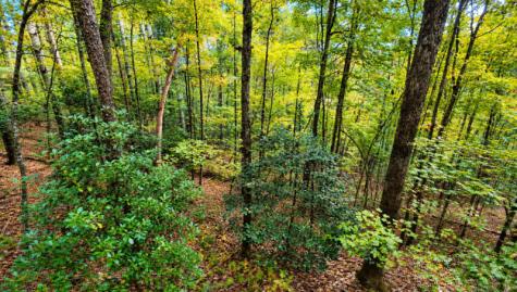 0 S Satsuma Court Ellijay GA 30540