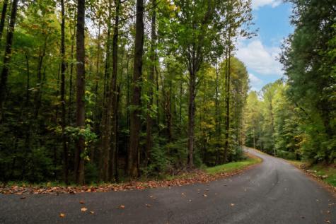 0 S Satsuma Court Ellijay GA 30540