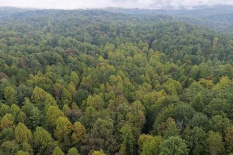0 S Satsuma Court Ellijay GA 30540