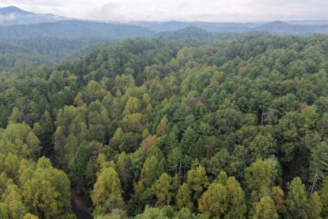 0 S Satsuma Court Ellijay GA 30540