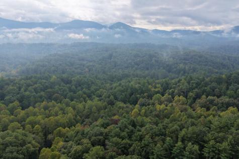 0 S Satsuma Court Ellijay GA 30540