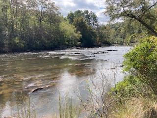 Lt 2486 Novena Court Ellijay GA 30540