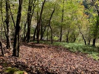 Lt 2486 Novena Court Ellijay GA 30540