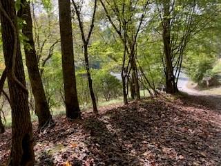 Lt 2486 Novena Court Ellijay GA 30540