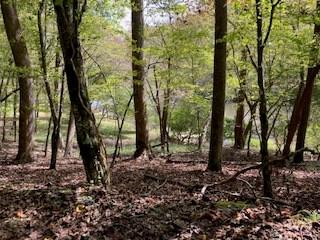 Lt 2486 Novena Court Ellijay GA 30540