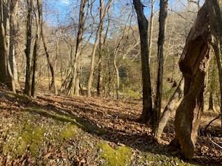 Lt 2486 Novena Court Ellijay GA 30540
