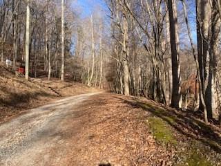 Lt 2486 Novena Court Ellijay GA 30540