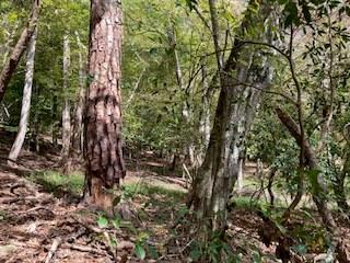 Lt 2486 Novena Court Ellijay GA 30540