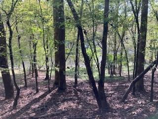 Lt 2486 Novena Court Ellijay GA 30540